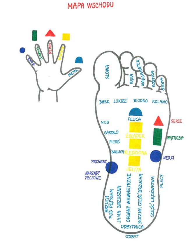 Kurs masażu stóp On Zon Su, Szkolenia refleksologii stóp - Mapa Wschodu Mapa_Wschodu.jpg