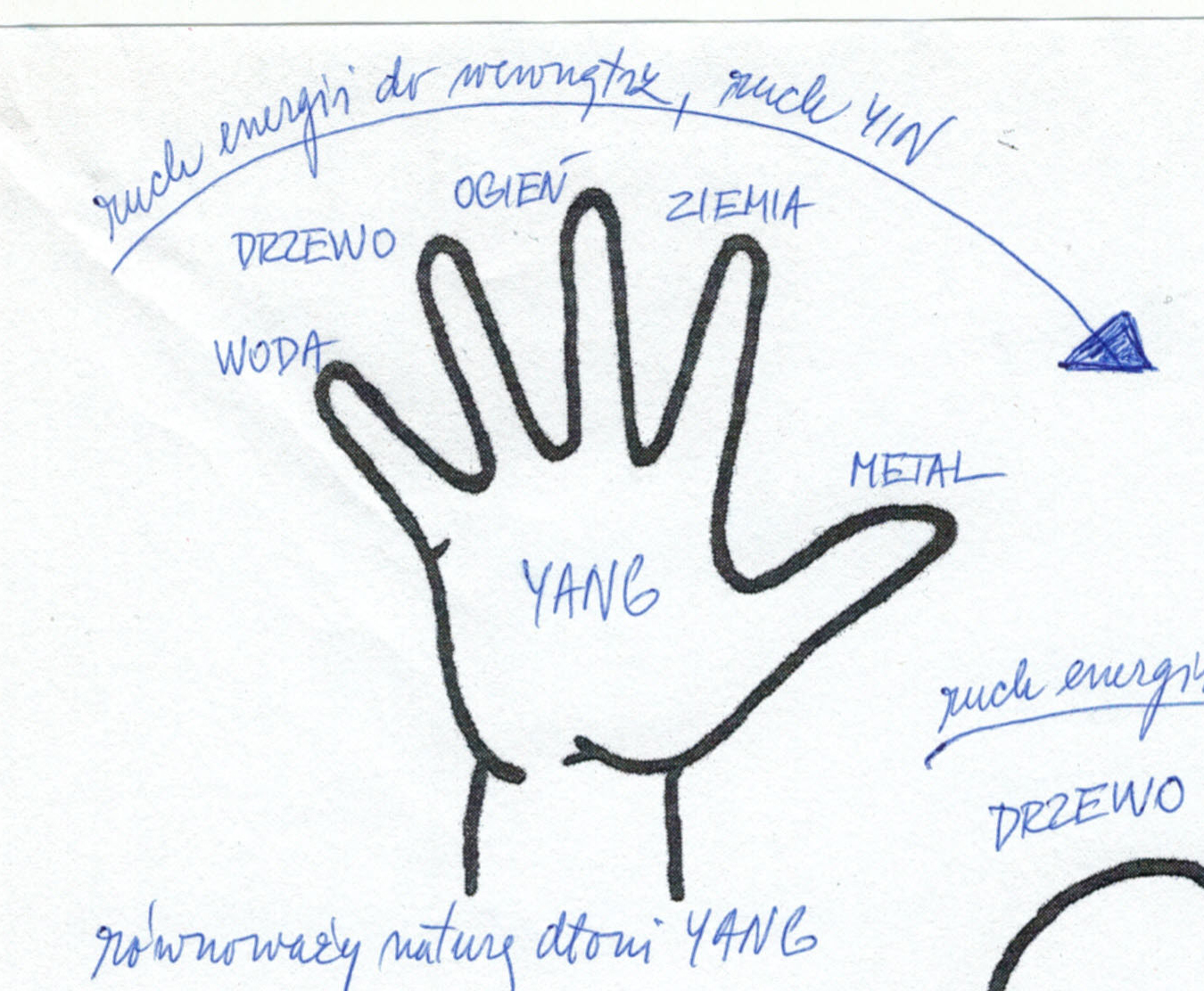 Kurs masażu stóp On Zon Su, Szkolenia refleksologii stóp - Równoważenie natury Yin/Yang dłoni cyklem odżywczym Pięciu Przemian rown_yin_i_yang_dlon.jpg