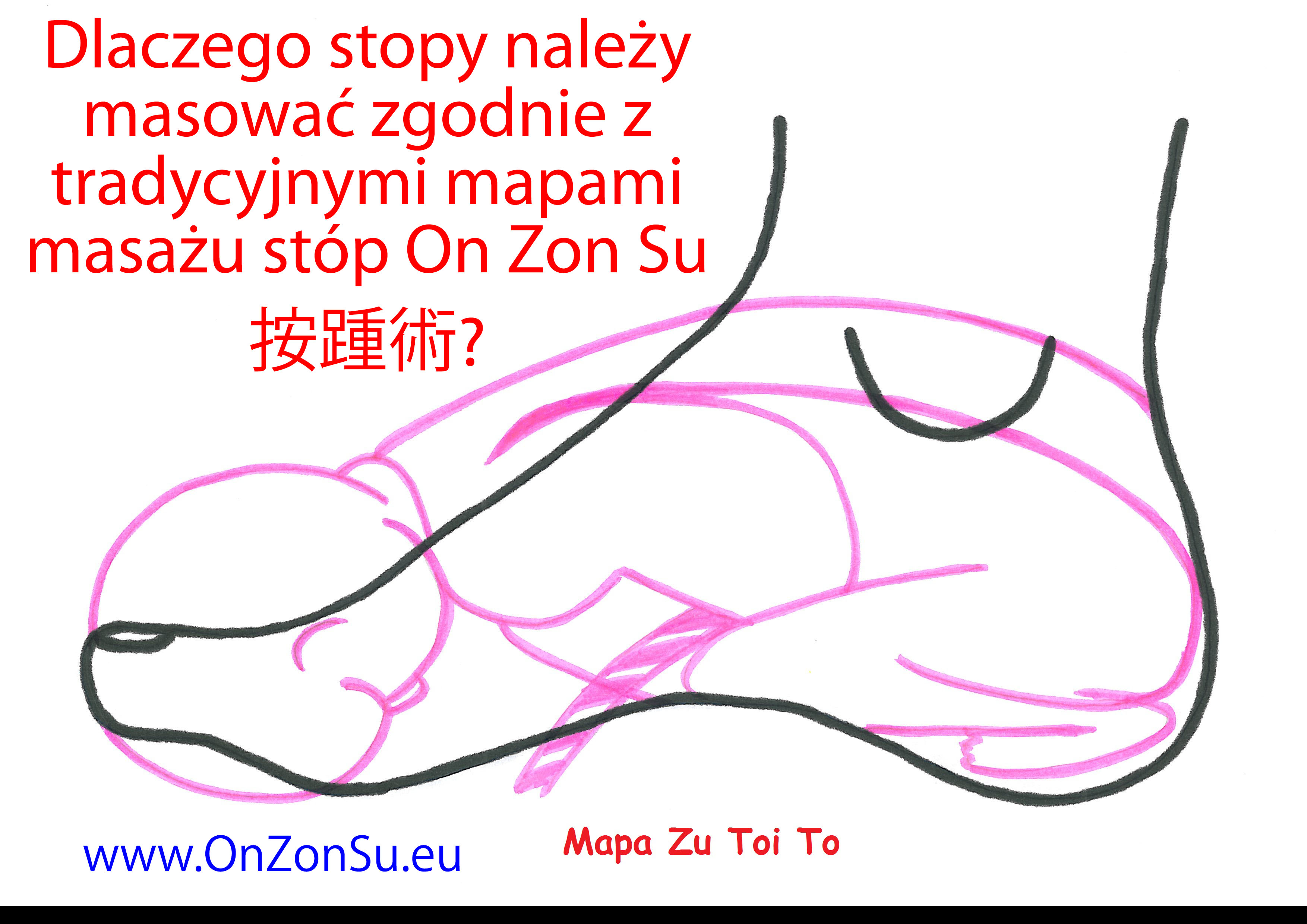 Kurs masażu stóp On Zon Su, Szkolenia refleksologii stóp - Dlaczego stopy należy masować zgodnie z  tradycyjnymi mapami masażu stóp On Zon Su? Mapa_Zu_Toi_To_MEM.jpg