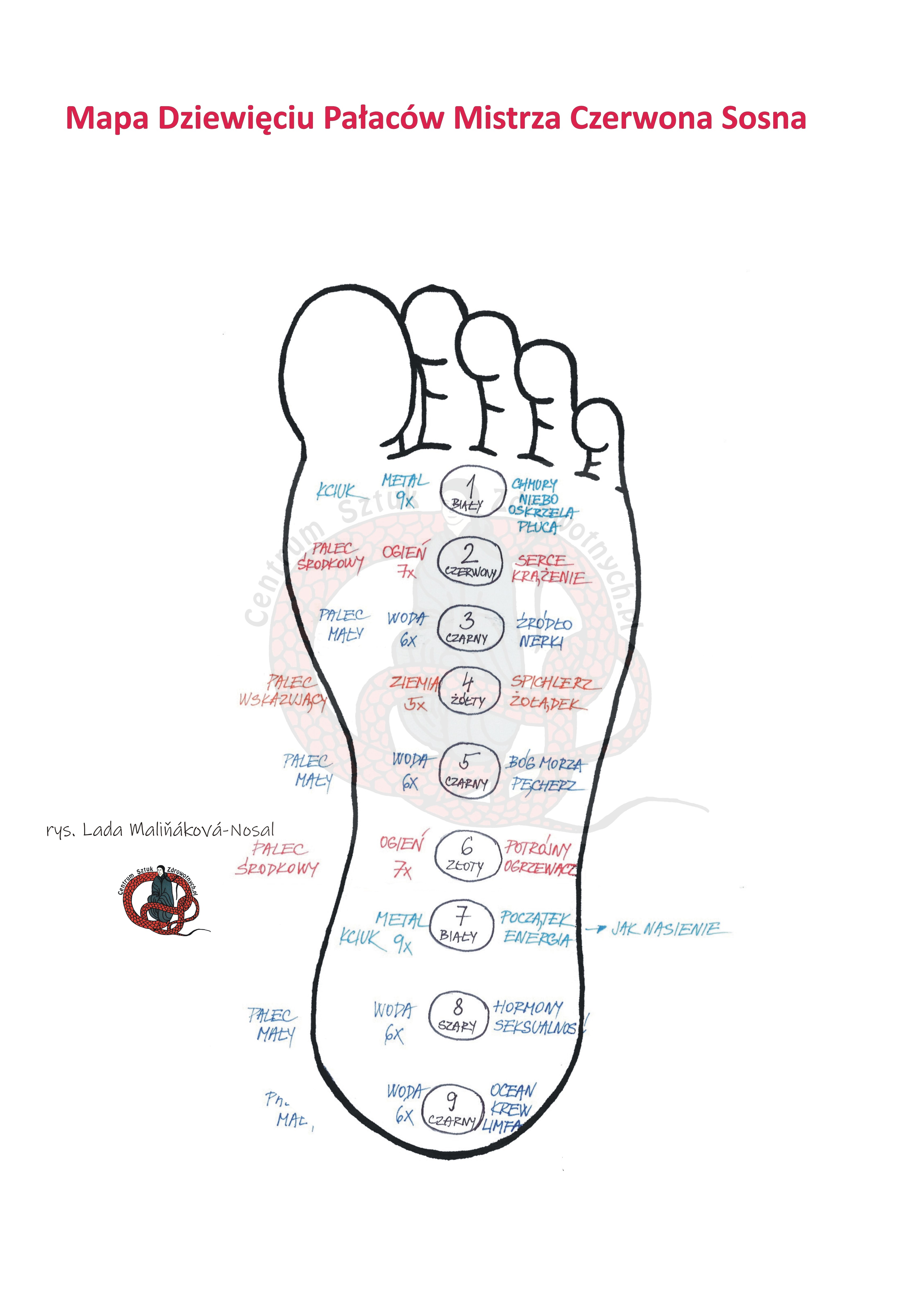 Kurs masażu stóp On Zon Su, Szkolenia refleksologii stóp - Mapa Dziewięciu Pałaców Mistrza Czerwona Sosna mapa_9_palacow_znak.JPG