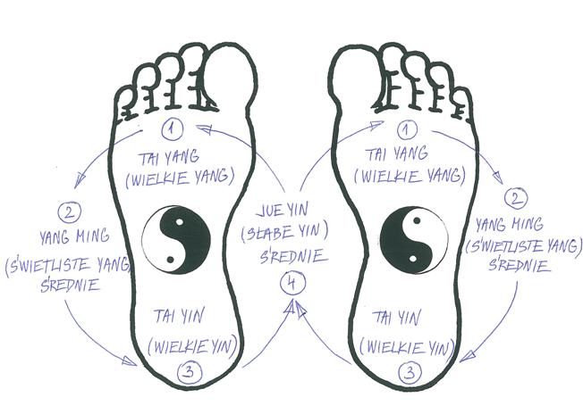 Kurs masażu stóp On Zon Su, Szkolenia refleksologii stóp - Mapa Sześciu Yin Yang Wielkiego Yu Mapa_Szesciu_Yin_Yang.jpg