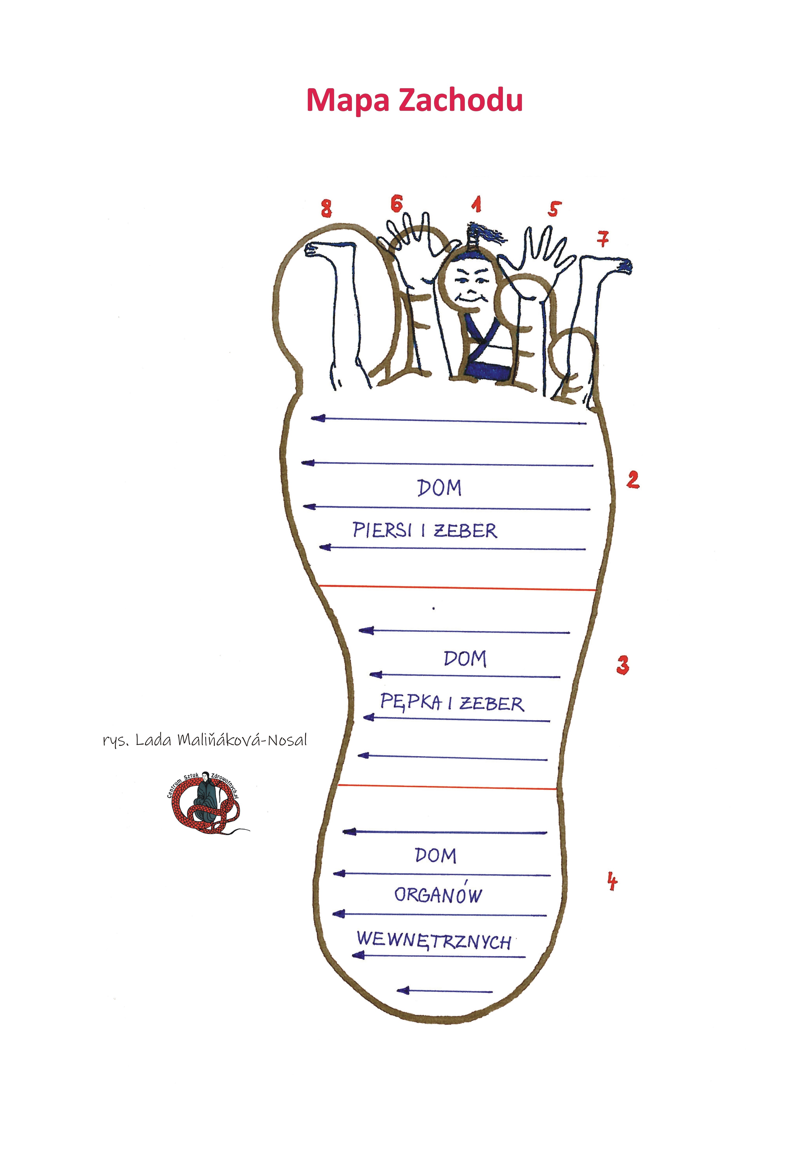 Kurs masażu stóp On Zon Su, Szkolenia refleksologii stóp - Sposób wykonania masażu według Mapy Zachodu mapa_zachodu.JPG