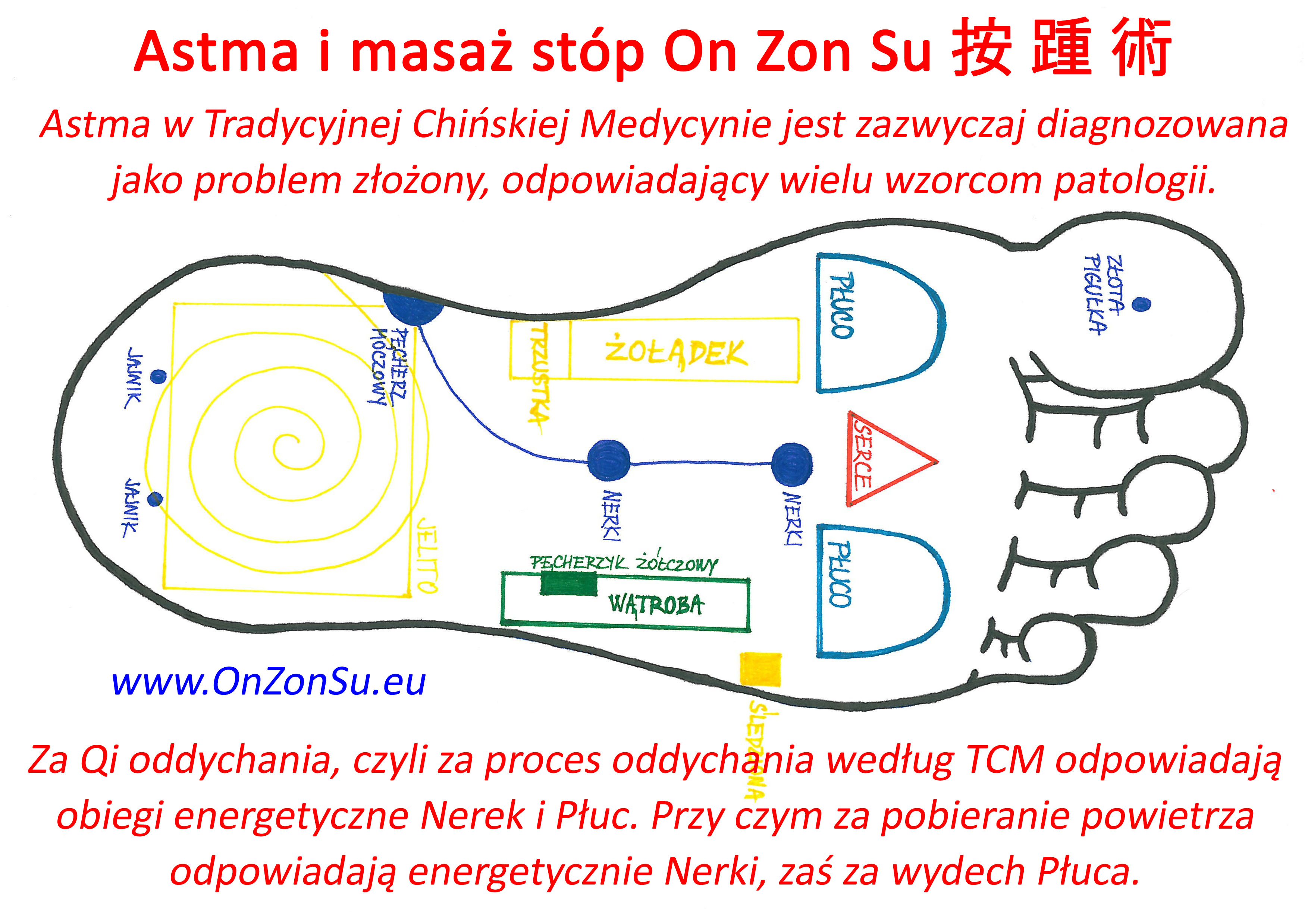 Kurs masażu stóp On Zon Su, Szkolenia refleksologii stóp - Astma Wewn-kraj_1_MEM.jpg