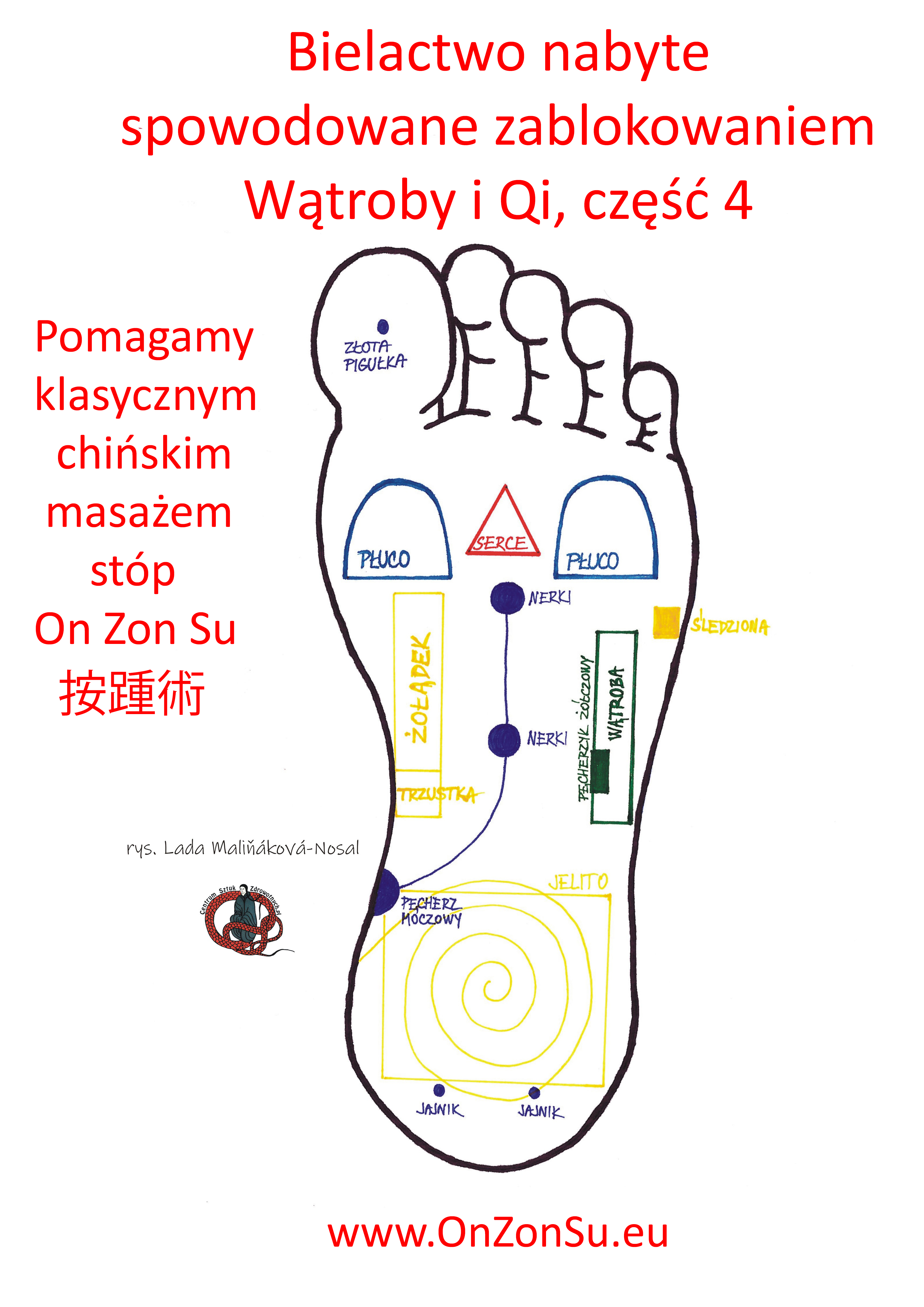Kurs masażu stóp On Zon Su, Szkolenia refleksologii stóp - Bielactwo spowodowane zablokowaniem Wątroby i Qi MEM.JPG