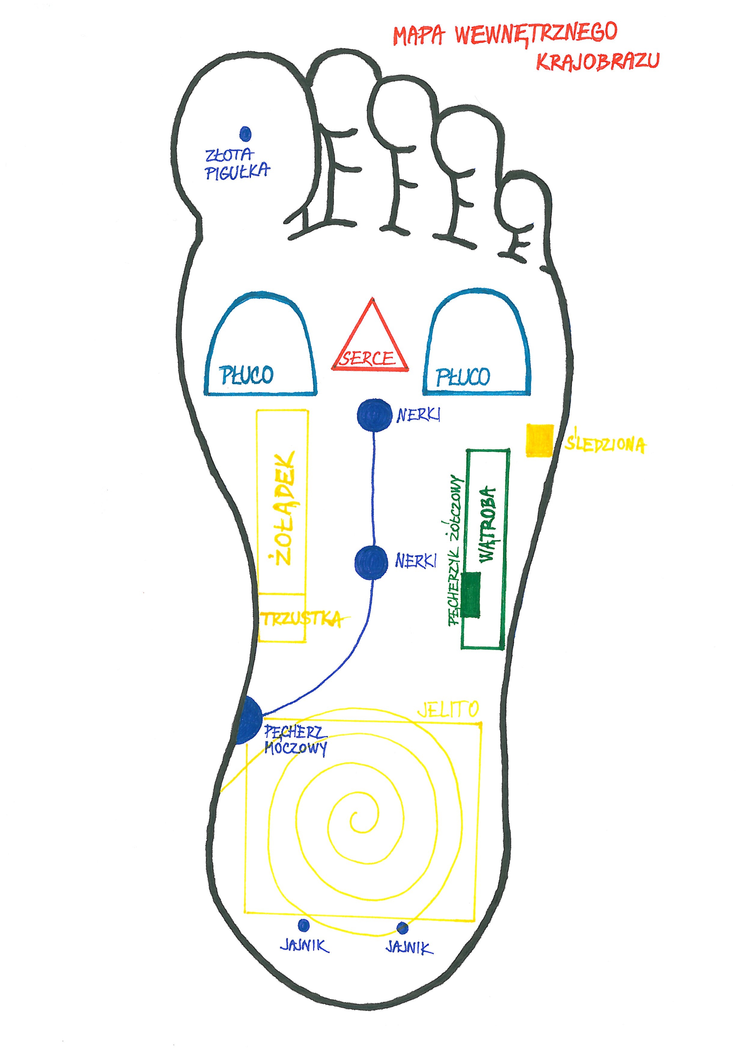 Kurs masażu stóp On Zon Su, Szkolenia refleksologii stóp - Problemy z jelitami, część 1 → Położenie stref refleksologicznych jelit na stopie i sposób masowania Mapa_Krajobrazu_Wewnetrznego.jpg