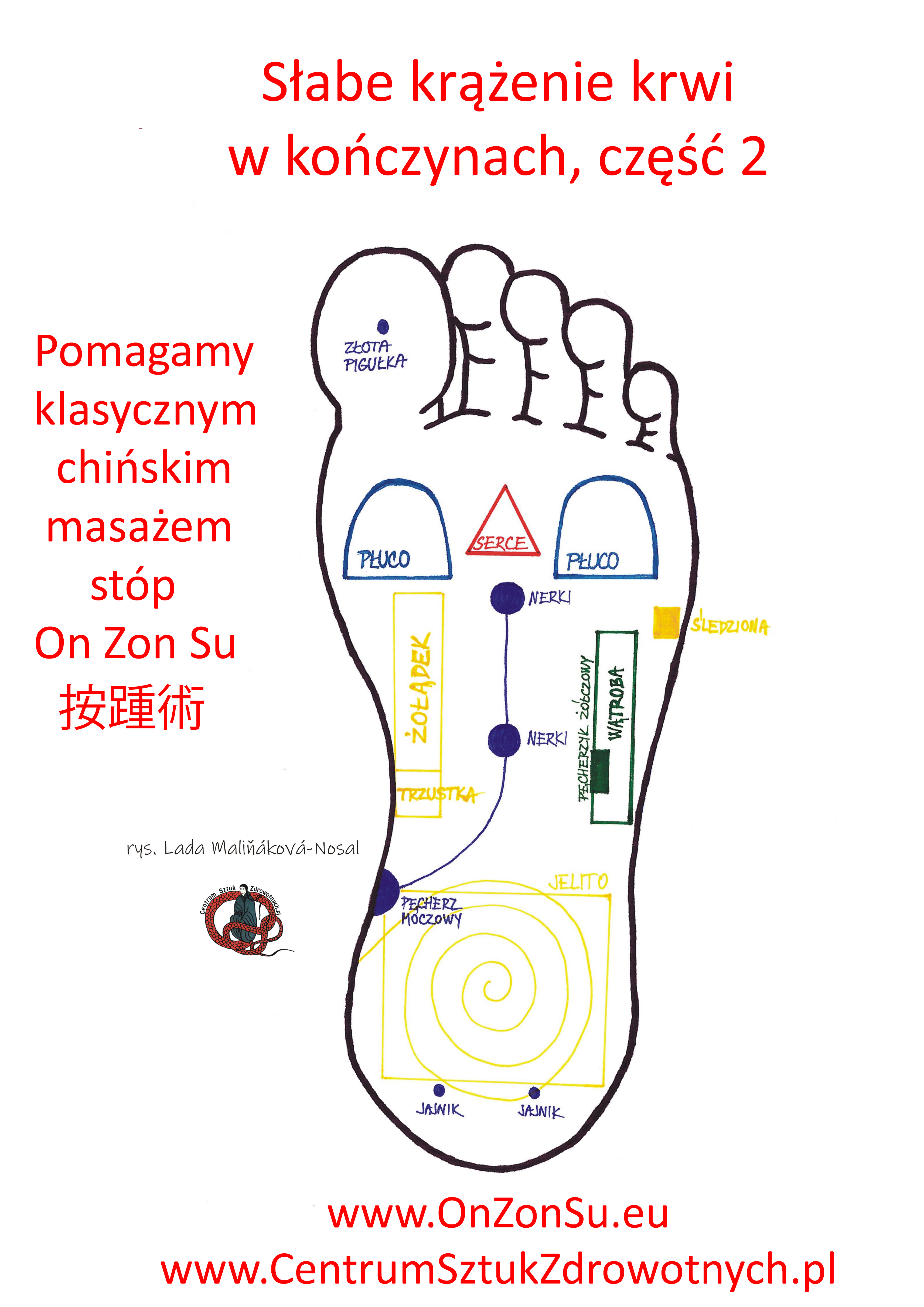 Kurs masażu stóp On Zon Su, Szkolenia refleksologii stóp - Krążenie, słabe krążenie w kończynach, część 2 MEM.JPG