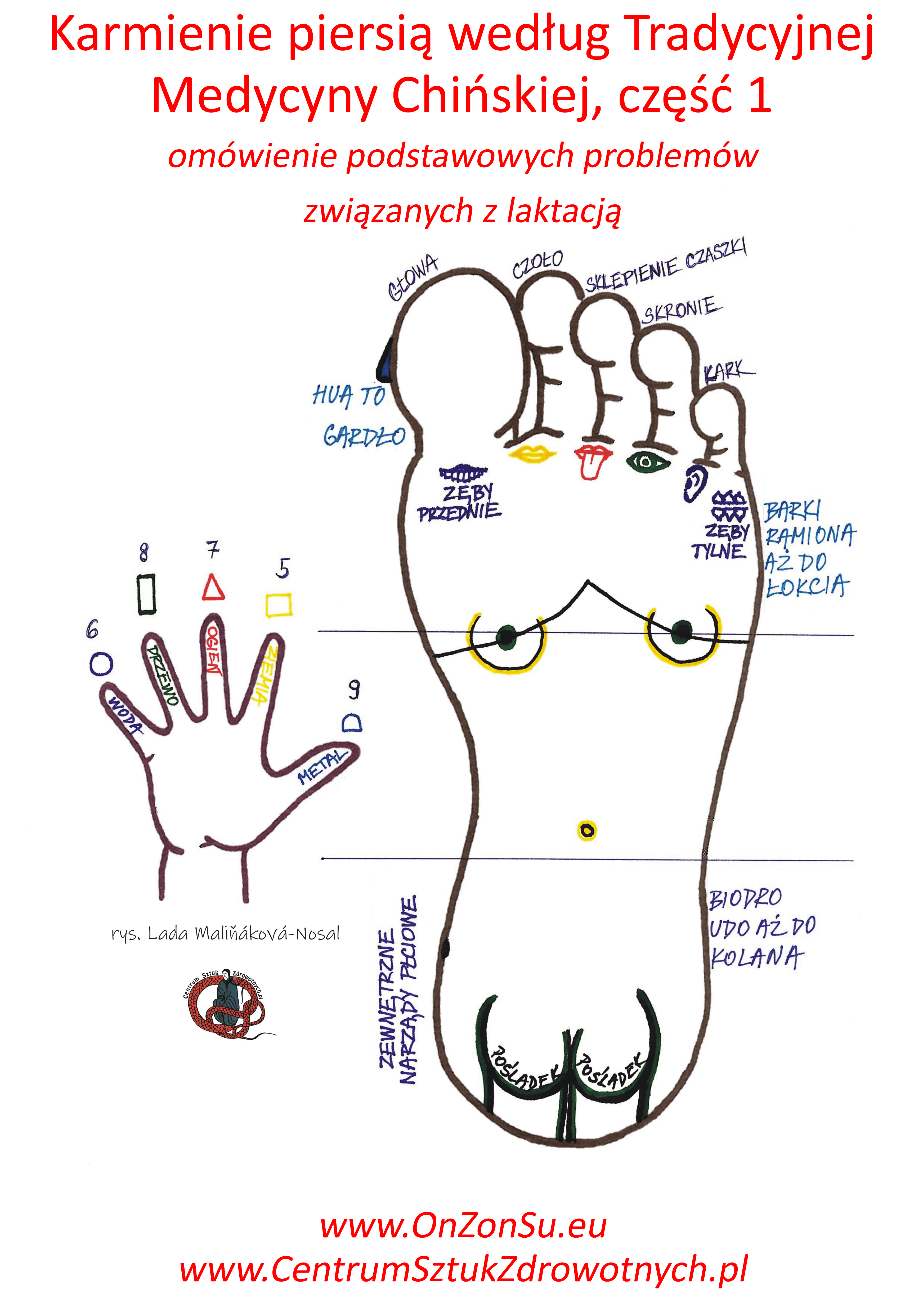 Kurs masażu stóp On Zon Su, Szkolenia refleksologii stóp - Karmienie piersią według Tradycyjnej Medycyny Chińskiej oraz omówienie podstawowych problemów związanych z laktacją, część 1 MEM.jpg