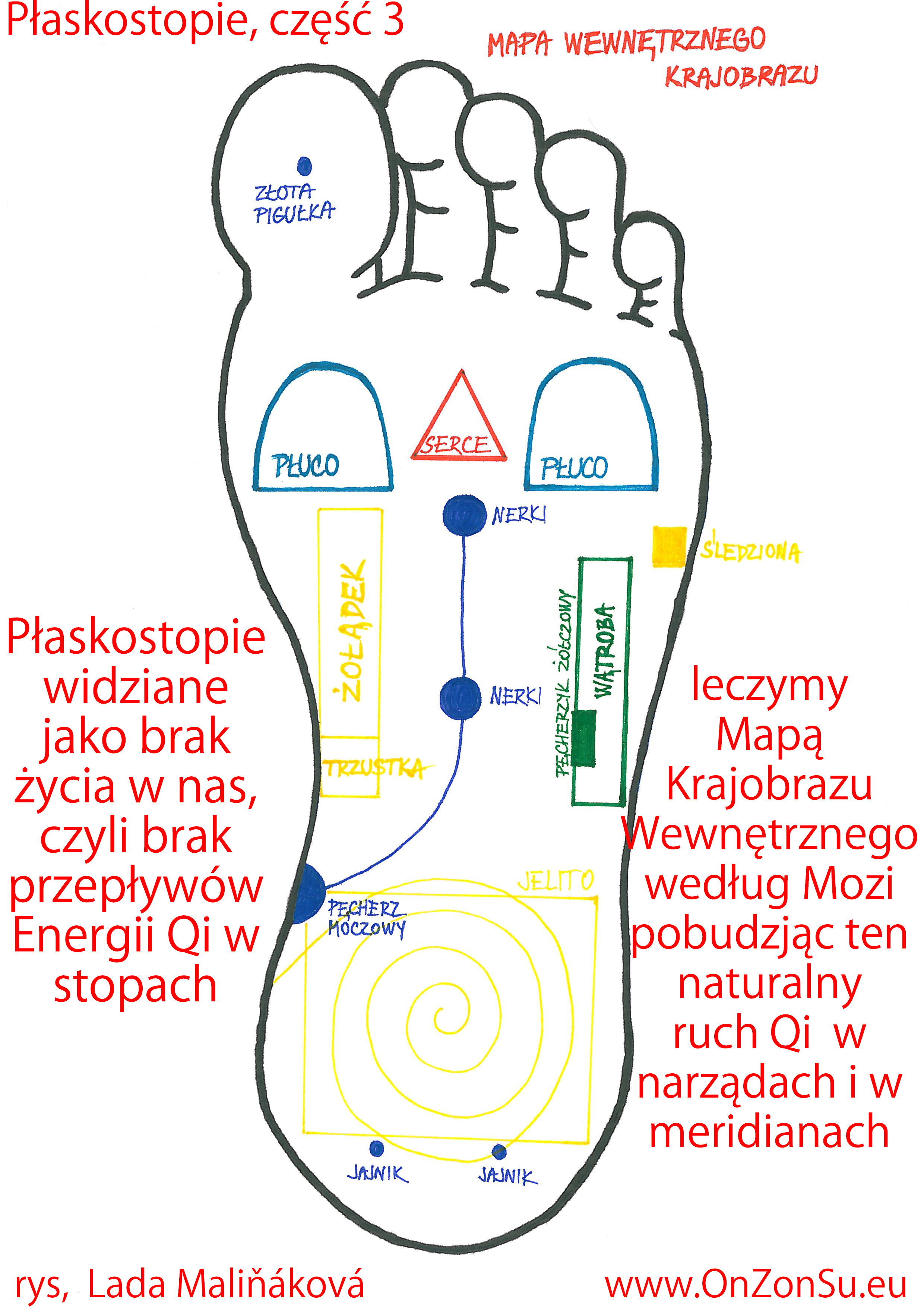 Kurs masażu stóp On Zon Su, Szkolenia refleksologii stóp - Płaskostopie, część 3 - masaż według  Mapy Krajobrazu Wewnętrznego mistrza Mozi Plaskostopie_3_MEM.jpg
